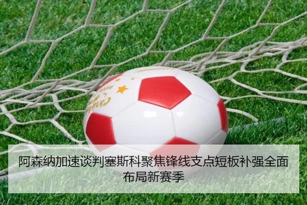 阿森纳加速谈判塞斯科聚焦锋线支点短板补强全面布局新赛季