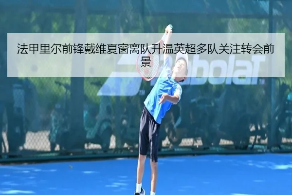 法甲里尔前锋戴维夏窗离队升温英超多队关注转会前景