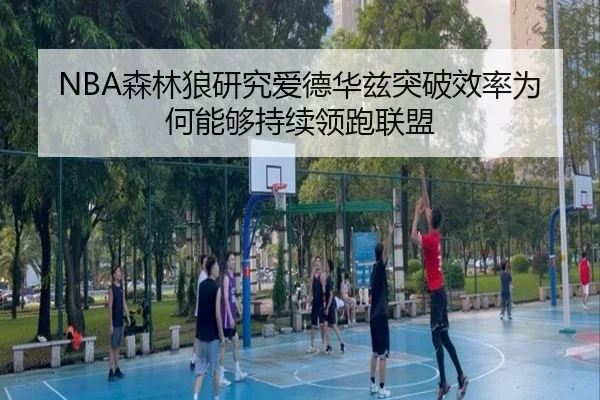 NBA森林狼研究爱德华兹突破效率为何能够持续领跑联盟