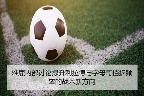 雄鹿内部讨论提升利拉德与字母哥挡拆频率的战术新方向