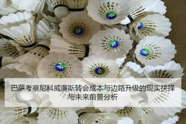 巴萨考察尼科威廉斯转会成本与边路升级的现实抉择与未来前景分析