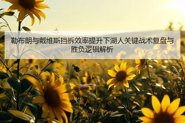 勒布朗与戴维斯挡拆效率提升下湖人关键战术复盘与胜负逻辑解析